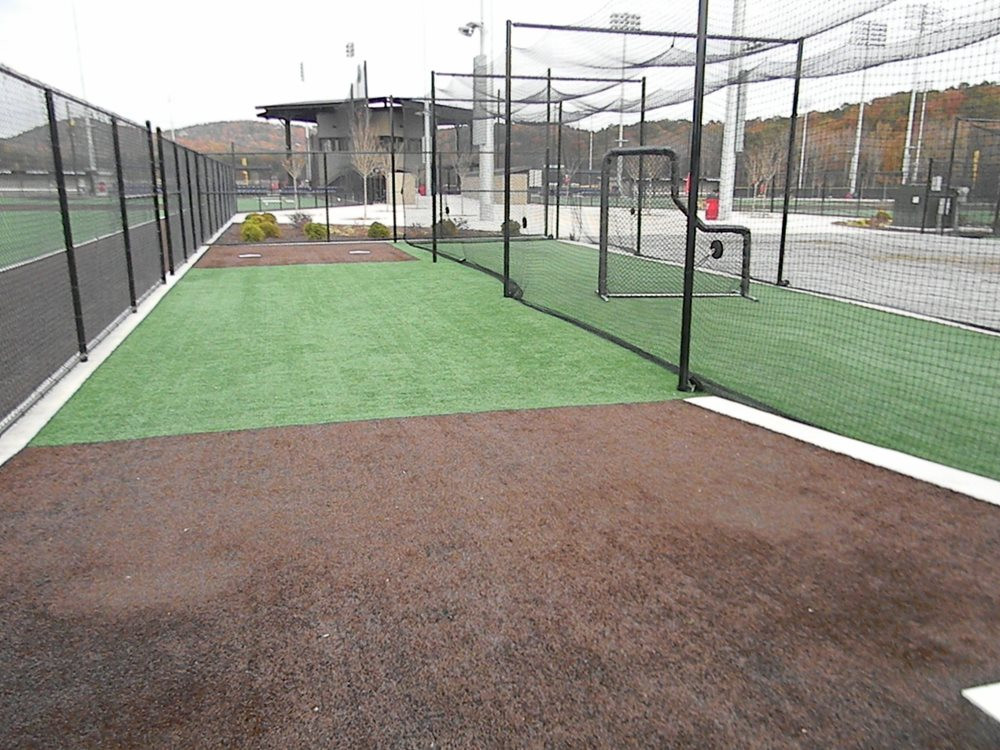 Los Angeles artificial turf batting cage